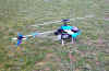 DSCN9448 copie.jpg (58925 octets)