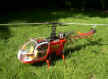 lama helico 007.jpg (94416 octets)