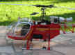 lama helico 021.jpg (69757 octets)